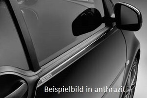 Накладки на двери Brabus Smart 453