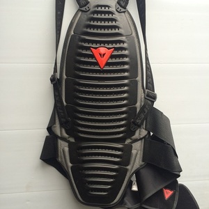 Защита экипировка черепаха спина Dainese Wave 13