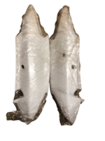 Пластик боковой для скутера Defiant Apollo