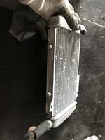 scooter radiator
