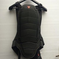 Захист екіпірування черепаха спина Dainese Wave 13