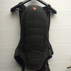 Защита экипировка черепаха спина Dainese Wave 13