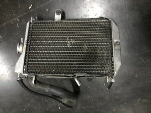 Radiator Suzuki Burgman Skywave 650